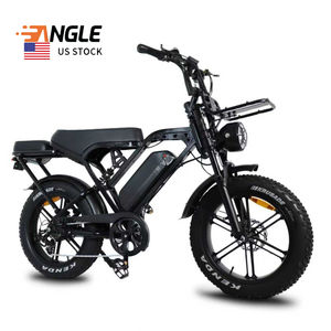 Bicicleta Eléctrica Fatbike V20 Pro 250W 48V con Llantas Gruesas de 20 Pulgadas, Doble Amortiguación, Nueva en Stock en EU y USA, Bicicleta Eléctrica Urbana - Product Image 1