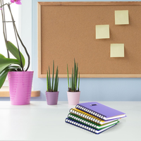 2019 Ensemble cahier fabricant règle de cahier spirale avec papier de couleur