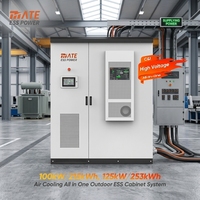 Sistema ESS de Refrigeración por Aire MATE 100kW 215kWh 125kW 253kWh, Gabinete de Baterías LiFePO4 Industrial para Exteriores, para Desplazamiento de Carga Pico en Fábricas