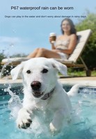 Collier anti-aboiement automatique de qualité supérieure, rechargeable, étanche IP65, collier d'entraînement pour chien avec son et vibrations, pour chiens de petite, moyenne et grande taille