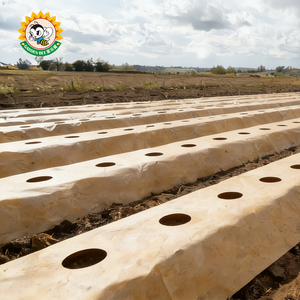 Film de paillage agricole biodégradable à cycle court pour application sur les cultures, idéal pour la culture des légumes et la protection des jardins. - Product Image 5