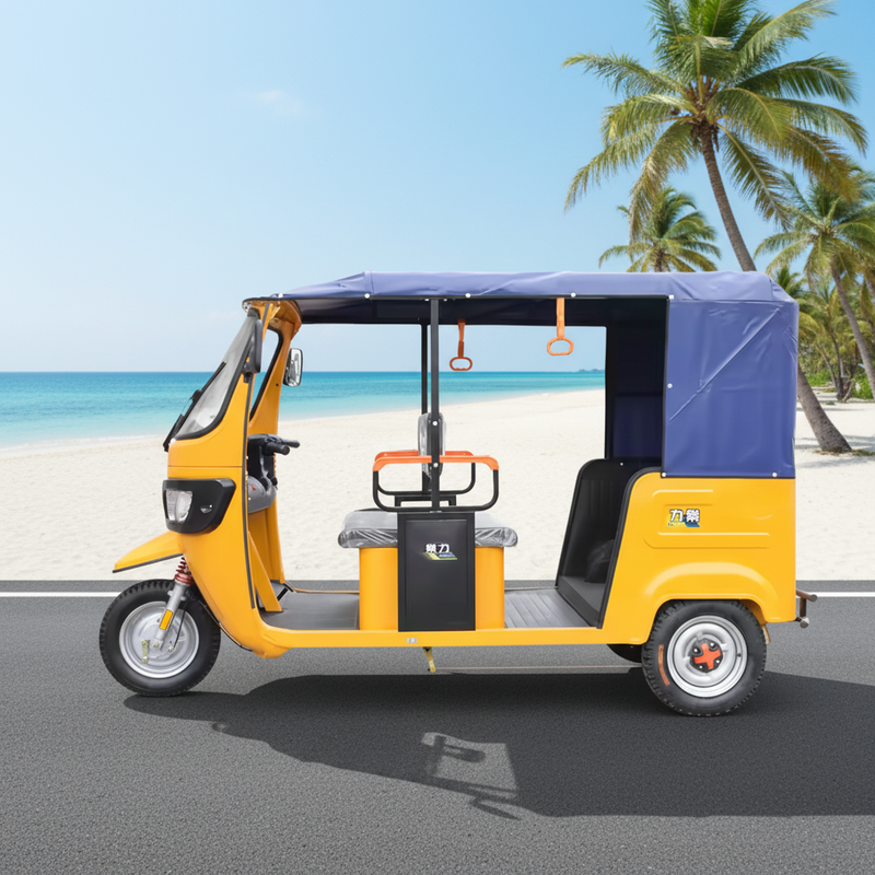 2000W Electric Passenger Tricycle with Canopy
