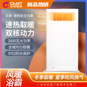 Chauffe-plafond intégré Zhengtai 300x600x100mm 2700W, chauffe-eau multifonctionnel pour salle de bain avec éclairage et ventilation - Product Image 3