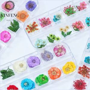 Adornos artísticos para <span class=keywords><strong>uñas</strong></span>, <span class=keywords><strong>flores</strong></span> secas, prensadas, suministros para <span class=keywords><strong>uñas</strong></span> al por mayor - Product Image 1