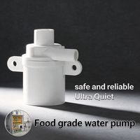 Mini pompe à eau 24V DC silencieuse, résistante au froid, basse pression, 6W, avec garantie d'un an pour les distributeurs de café glacé et d'eau
