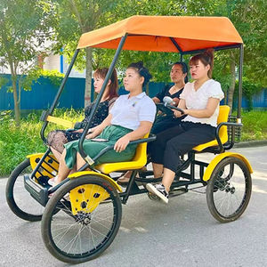 Vélo cargo électrique personnalisé 2026 pour les trajets en zone touristique, partage de vélos - Product Image 5