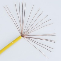 Nationaler Standard Reines Kupfer BVR BV PVC IP65-zertifizierter Stromkabel für Gebäude und Heimdekoration, Mehradriges Kabel 1mm 2,5mm 4mm 10mm