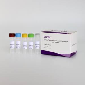 <span class=keywords><strong>Kit</strong></span> qPCR du gène gB du virus de la pseudorage à haute sensibilité | 50 tests/certifiés CE - Product Image 2
