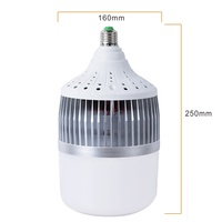 E27 200W Économie D'énergie Studio Photo LED Ampoule Lampe 5500K Doux Blanc Lumière Du Jour pour Studio Photo Vidéo Maison éclairage Commercial