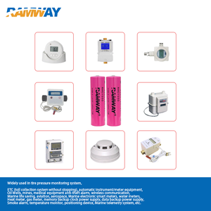 El supercapacitor híbrido ramway rhc1550 añade baterías de litio lisocl2 para medidores de agua, localizadores gps, dispositivos - Product Image 3