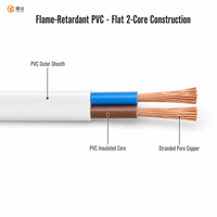 Câble électrique plat ignifuge ZR RVVB en PVC isolé, fil de cuivre nu flexible 300-500V, conforme RoHS et CCC, approvisionnement en vrac