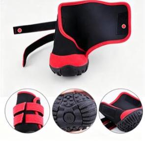 Chaussures pour chien respirantes et confortables pour toutes les saisons - Product Image 3