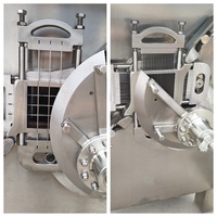 Machine industrielle de découpe de viande congelée en dés, en acier inoxydable, pour poulet, bœuf, fromage, légumes, usine de transformation alimentaire