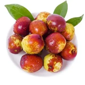 Diskon besar buah crispy rasa segar jujuha Musim Dingin jujube