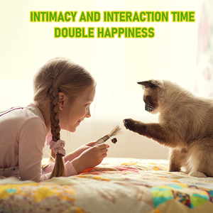 100% <b>Natural</b> Cat Silver Catnip Rattan Dental Care Mix StickKitten Mint Tooth Cleaning Stick Cat Chew Stick Toys - Product Image 6