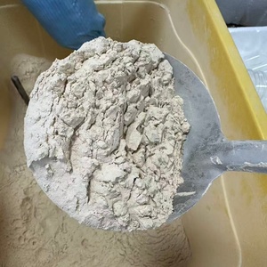Pollens de kiwi en vrac à vendre - Livraison rapide, pollens à forte germination pour vergers de kiwi - Product Image 2