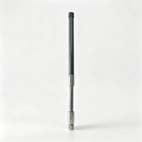 Antenne en fibre de verre étanche Lora 900 MHz 3-5 dBi de 20 mm de diamètre et 30 cm de long pour communication 4G 5G longue portée en extérieur