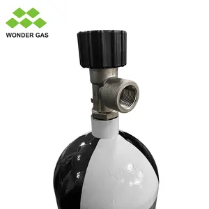 6L High Pressure 300Bar Steel Cylinder TPED ISO 9809-1 Steel Gas Cylinder SCBA Air Tank Breathing Apparatus Cylinders