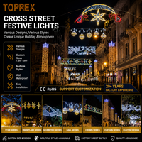 Lumière LED 2D à motif de rue en fer forgé de qualité municipale avec motif de boule et flocon de neige pour la décoration de Noël des allées urbaines