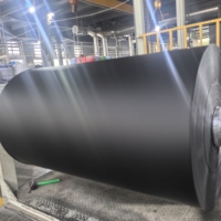 Membrane d'étanchéité de toiture en PVC, thermosoudable, tissu enduit anti-UV pour toiture plate et toiture verte