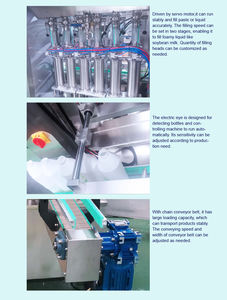 Línea de producción de máquina de llenado de jabón líquido en crema cosmética con Control Digital automático de 100ml - 5000ml - Product Image 6
