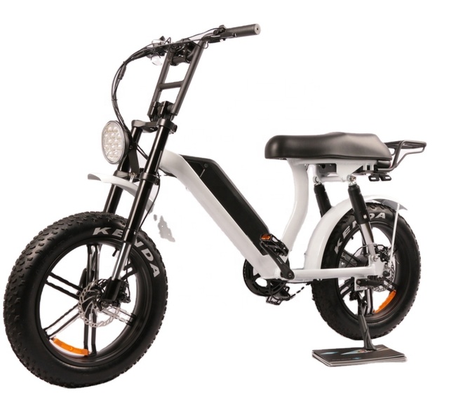 China 2020 Low Price Customized 500W / 750W 1000w 48V Retro Fat Tire Ebike 20inch Full Suspension Electric Bike Bicycle