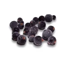 IQF Diepvries Zwarte Bessen Premium Kwaliteit Diepvriesvruchten IQF Zwarte Bessen Bulk Verpakt BRC HACCP Gecertificeerd voor Smoothies