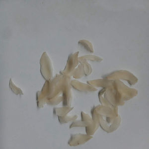 Fournisseur en gros d'herbes Bai He Chine, célèbre lys brun de Hong Kong, racines de lys brun séchées, bulbes de <span class=keywords><strong>Lilium</strong></span> Browni, pétales pour herbes - Product Image 5