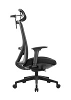 Chaise de bureau ergonomique réglable à dossier haut en maille avec support lombaire, roulettes pivotantes et rafraîchissantes pour le bureau à domicile