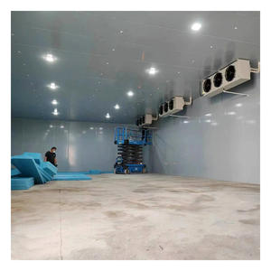 Armazém Logístico Caminhada Comercial no Freezer Cool Room Whit Refrigeration Unit Cold Storage System - Product Image 2