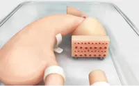 Modèle d'entraînement à la gastroscopie, simulateur fantôme d'endoscope gastroduodénal souple pour la pratique, modèle anatomique scientifique médical