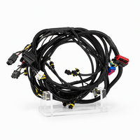 Harness Mesin Pengganti Lengkap Dengan Kabel Ecu dan Kabel Injeksi Bahan Bakar untuk Proyek Perbaikan Mobil Bensin