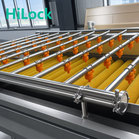 Ligne de traitement automatique clé en main pour jus d'agrumes, usine de production de jus d'orange NFC, machine d'extraction de jus de fruits