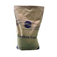 Poudre de Gomme Xanthane Qualité Alimentaire E415 Épaississant Stabilisateur CAS 11138-66-2 80 Mesh 200 Mesh