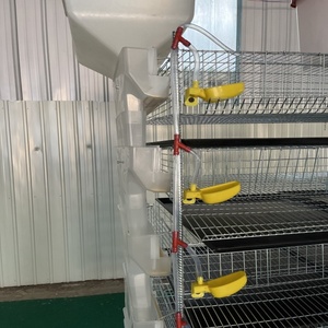 Poulaillers commerciaux <span class=keywords><strong>de</strong></span> grande capacité pour la production d'œufs, 330-350 <span class=keywords><strong>cailles</strong></span> - Product Image 6