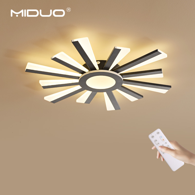 Modern Iron LED Ceiling Chandelier Lamp with Remote Control for Bedroom Home Decoration Luxury Lighting