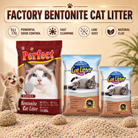 Litière pour chat en bentonite écologique avec contrôle puissant des odeurs, 99 % sans poussière et agglomération rapide pour la vente en gros