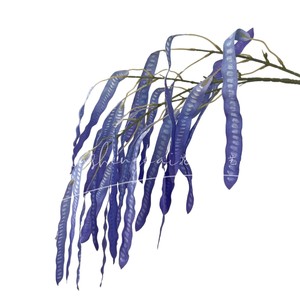 Plantas Verdes Artificiales, Ramo de Vainas de Guisantes, Flor de Seda de Alta Simulación, Decoración para Bodas - Product Image 5