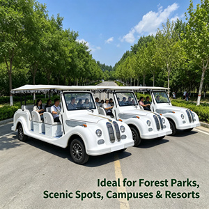 Renqi 72V/4kw 100AH Motor AC, Auto Eléctrico Retro Convertible, Ideal <span class=keywords><strong>para</strong></span> Lugares Turísticos y Eventos de Boda - Product Image 4