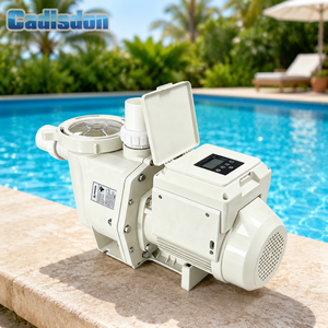 Pompes de piscine Pentair Style à vitesse variable et commande intelligente 1.5HP2HP3HP - Product Image 1