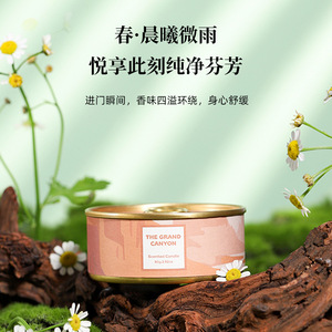 Scented <b>Candles</b> Round <b>Small</b> Can Set City Series Gift Box Modern Floral Plant Fragrance Mother's Day Gift - Product Image 2