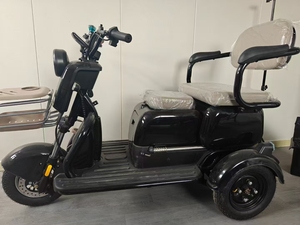 <span class=keywords><strong>Vélo</strong></span> pliant électrique Portable populaire pour adultes personnes âgées <span class=keywords><strong>handicap</strong></span>ées <span class=keywords><strong>moteur</strong></span> à 3 vitesses 60V acier sans brosse pour les loisirs de trajet - Product Image 5