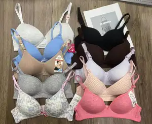 ราคาต่ําในสต็อกใหม่เซ็กซี่ลูกไม้ปรับสาว Bra Gathering Top สนับสนุน Anti flagging Bra ชุดชั้นในสําหรับสตรี