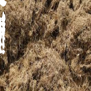 Fibra de coco natural de alta calidad para colchones, cepillos, cuerdas, esteras para cultivo, fibra de coco para mantillo, venta al por mayor de La India - Product Image 1