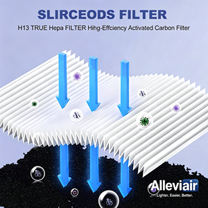 Filtro HEPA DH02 de Repuesto para Purificador de Aire y <span class=keywords><strong>Deshumidificador</strong></span> Tenergy Sorbi/<span class=keywords><strong>Afloia</strong></span> AQ8 Q8/Honati/Hysure Q7, 1 Unidad - Product Image 5