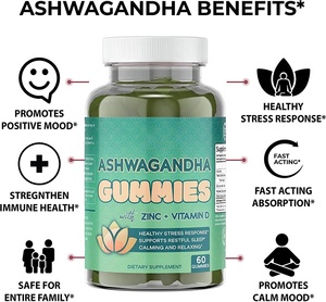 Venta Incomodidad Aliviar Gummie Root <span class=keywords><strong>Golgi</strong></span> Gummies Osos Ashwagandha Producto de belleza para adultos Mujeres embarazadas Safe Gummy Candy Dosis - Product Image 4