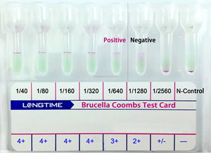 Nhanh chóng và đáng tin cậy brucella kháng thể kiểm tra giải pháp cho sử dụng chuyên nghiệp - Product Image 5