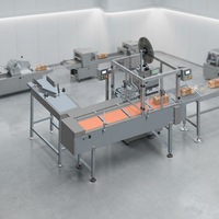 Machine automatique à clips pour pain avec impression jet d'encre