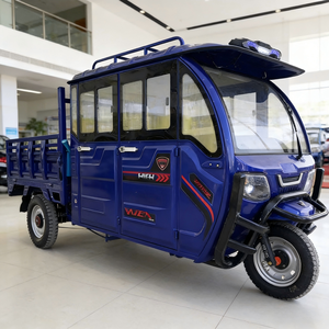 Triciclo <span class=keywords><strong>de</strong></span> Carga Motorizado con Combustible, Carrocería Cerrada, 2 Pasajeros, Motor <span class=keywords><strong>de</strong></span> 250cc, Certificado DOT, Carga Útil <span class=keywords><strong>de</strong></span> 500 kg - Product Image 1