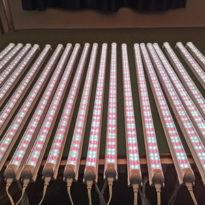 Quang phổ đầy đủ chất diệp lục một (uW/cm ') 77.357 <span class=keywords><strong>Par</strong></span> 9/<span class=keywords><strong>18</strong></span>/24/36/48 <span class=keywords><strong>W</strong></span>át 600 1200 1500 mét <span class=keywords><strong>Led</strong></span> phát triển Ống ánh sáng - Product Image 6